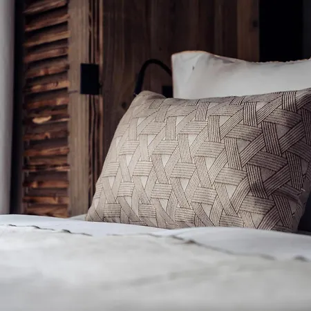 Antarès Ursa 101 - Luxury Inski Out Méribel